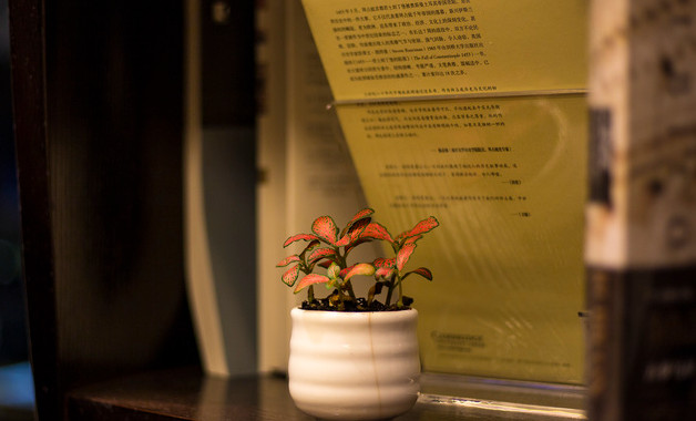 輔導(dǎo)員個(gè)人學(xué)期總結(jié)