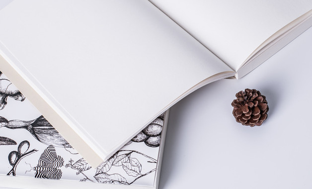 組組長個人總結(jié)(15篇)