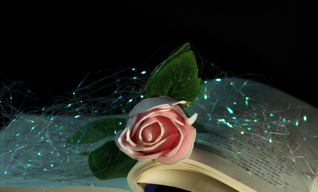 藥業(yè)個人總結(jié)