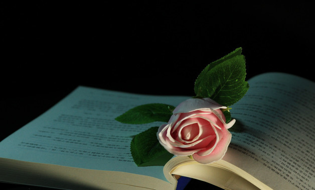 團委工作總結(jié)個人