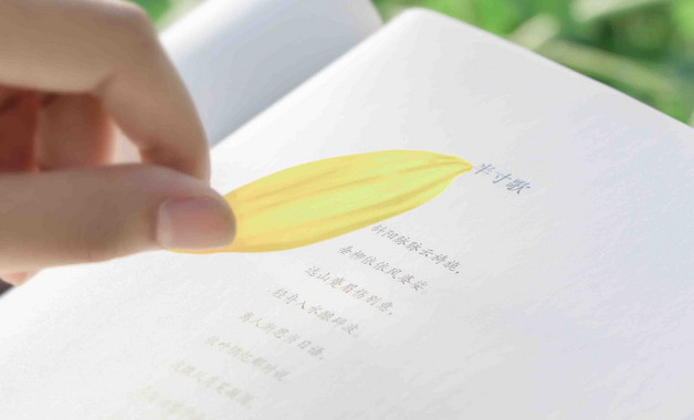 賣場個(gè)人總結(jié)