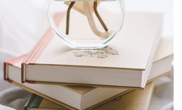 初一個人總結學生