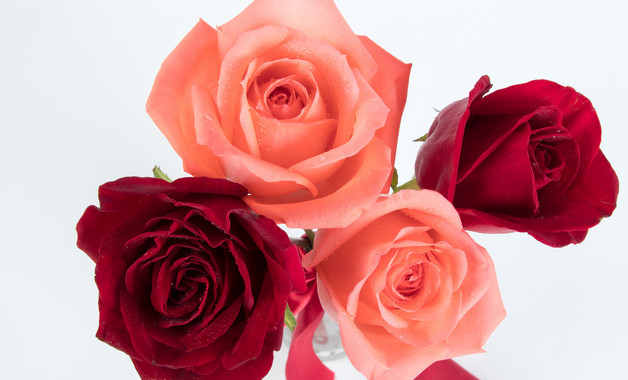 公文員個人總結