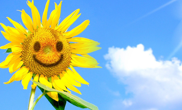 鄉(xiāng)個(gè)人環(huán)?？偨Y(jié)