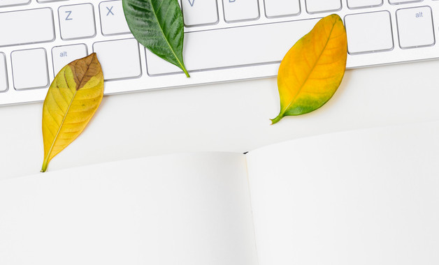 八年級歷史教學述職報告模板（四篇）