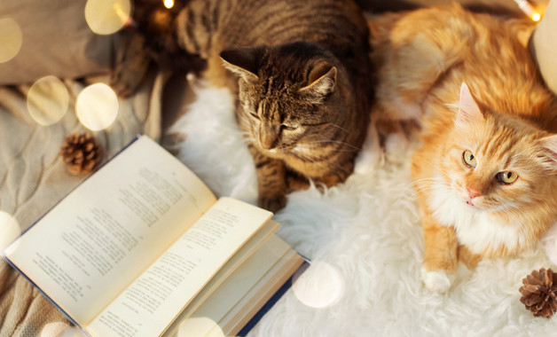 跨境電商銷售崗位職責(zé)3篇