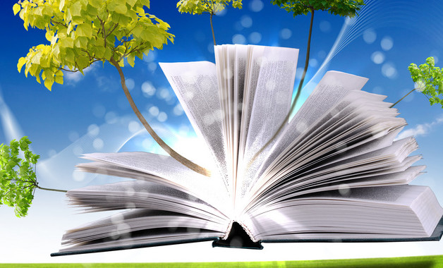 渠道銷(xiāo)售總監(jiān)崗位職責(zé)10篇