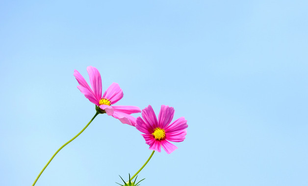 x學(xué)校教師值班制度（簡單版35篇）