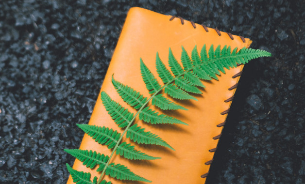 學(xué)校醫(yī)務(wù)室管理制度匯編【5篇】