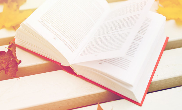 關(guān)于六年級語文教師述職報告(七篇)